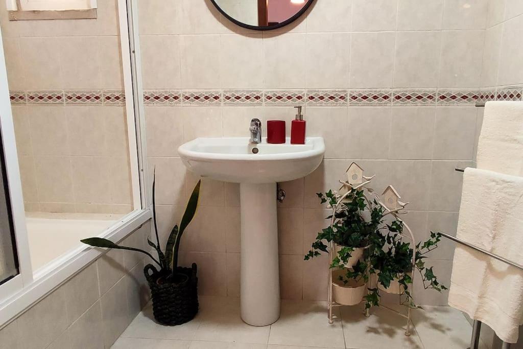 Jardim Sol Holiday Apartment 푼샬 외부 사진